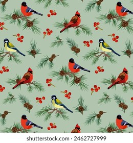 Birds on branches in a pattern.Vector seamless pattern with bright birds on coniferous branches.