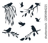 Birds on branches set. Vector illustration