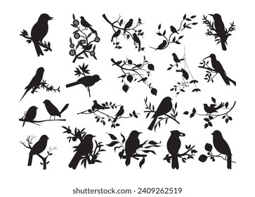 Birds on Branches vector for print, Birds on Branches clipart, Birds on Branches vector illustration