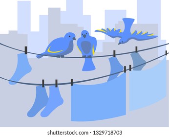 Birds on a clothesline