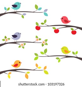 Birds different branches