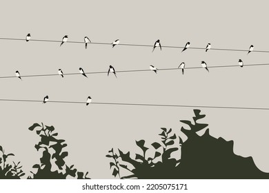 Birds on external power wire outdoor, cloudy sky