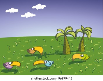 Birds on Island