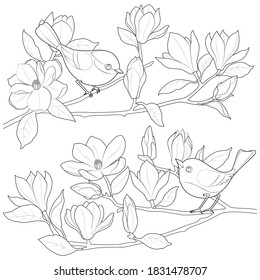 Birds on a magnolia branch vector