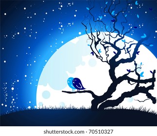 Birds on moon light