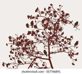 birds on the rowan tree