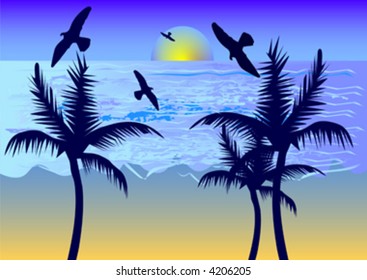 birds on sea