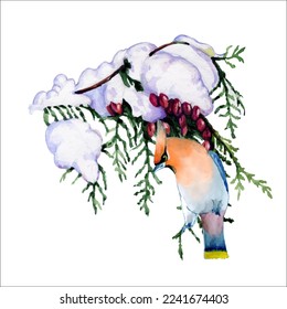 Birds on snow-covered branches. Can be used as a postcard, cover background, or for a web message. Vector illustration in a watercolor style.