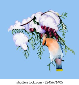 Birds on snow-covered branches. Can be used as a postcard, cover background, or for a web message. Vector illustration in a watercolor style.
