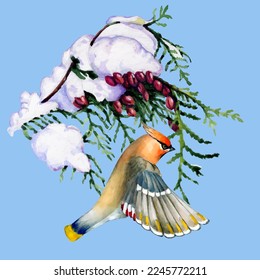 Birds on snow-covered branches. Can be used as a postcard, cover background, or for a web message. Vector illustration in a watercolor style.
