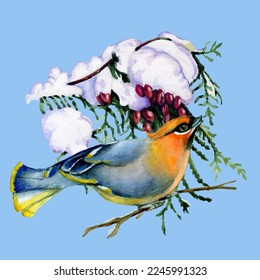 Birds on snow-covered branches. Can be used as a postcard, cover background, or for a web message. Vector illustration in a watercolor style.
