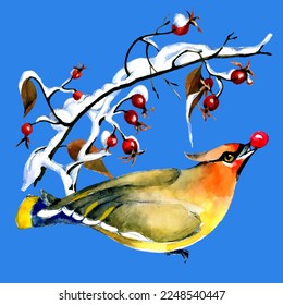 Birds on snow-covered branches. Can be used as a postcard, cover background, or for a web message. Vector illustration in a watercolor style.