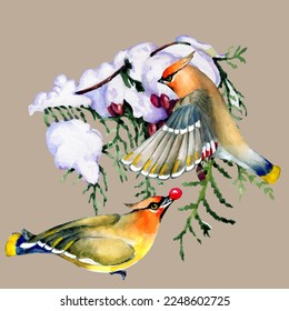 Birds on snow-covered branches. Can be used as a postcard, cover background, or for a web message. Vector illustration in a watercolor style.