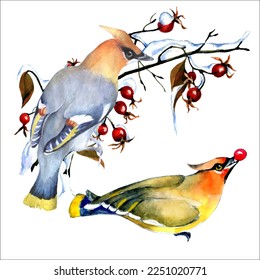 Birds on snow-covered branches. Can be used as a postcard, cover background, or for a web message. Vector illustration in a watercolor style.
