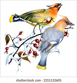 Birds on snow-covered branches. Can be used as a postcard, cover background, or for a web message. Vector illustration in a watercolor style.
