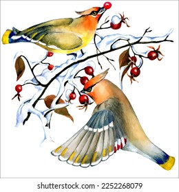 Birds on snow-covered branches. Can be used as a postcard, cover background, or for a web message. Vector illustration in a watercolor style.
