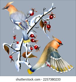 Birds on snow-covered branches. Can be used as a postcard, cover background, or for a web message. Vector illustration in a watercolor style.
