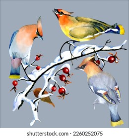 Birds on snow-covered branches. Can be used as a postcard, cover background, or for a web message. Vector illustration in a watercolor style.
