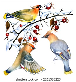 Birds on snow-covered branches. Can be used as a postcard, cover background, or for a web message. Vector illustration in a watercolor style.
