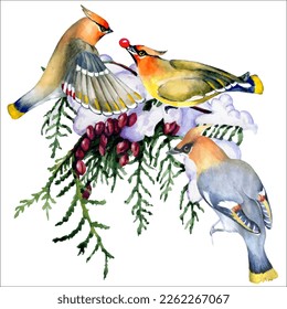 Birds on snow-covered branches. Can be used as a postcard, cover background, or for a web message. Vector illustration in a watercolor style.