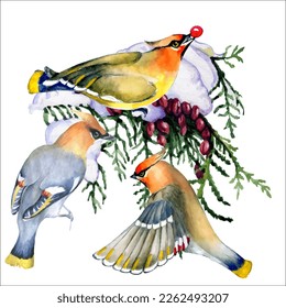 Birds on snow-covered branches. Can be used as a postcard, cover background, or for a web message. Vector illustration in a watercolor style.