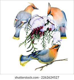 Birds on snow-covered branches. Can be used as a postcard, cover background, or for a web message. Vector illustration in a watercolor style.