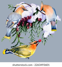 Birds on snow-covered branches. Can be used as a postcard, cover background, or for a web message. Vector illustration in a watercolor style.
