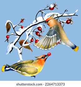 Birds on snow-covered branches. Can be used as a postcard, cover background, or for a web message. Vector illustration in a watercolor style.
