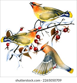 Birds on snow-covered branches. Can be used as a postcard, cover background, or for a web message. Vector illustration in a watercolor style.
