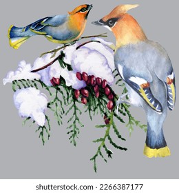 Birds on snow-covered branches. Can be used as a postcard, cover background, or for a web message. Vector illustration in a watercolor style.
