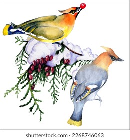Birds on snow-covered branches. Can be used as a postcard, cover background, or for a web message. Vector illustration in a watercolor style.
