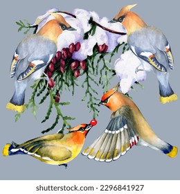 Birds on snow-covered branches. Can be used as a postcard, cover background, or for a web message. Vector illustration in a watercolor style.