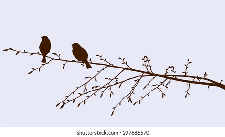 birds on a sprig