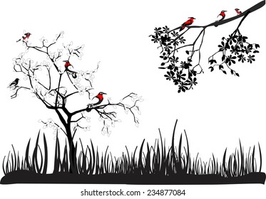 Birds on tree and tree branch
