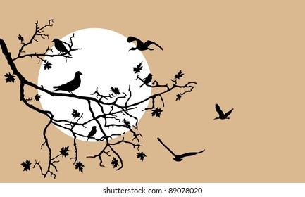 birds on a tree branch