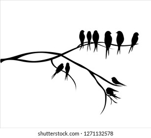 Birds on a tree branch black