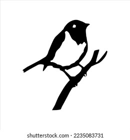 The birds on a tree branch in the spring time