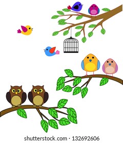 birds on tree branch vector/illustration