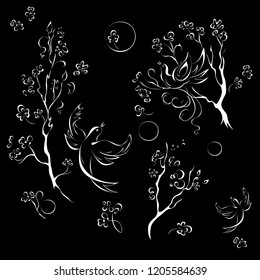 birds on tree branches in spring in white lines on black background