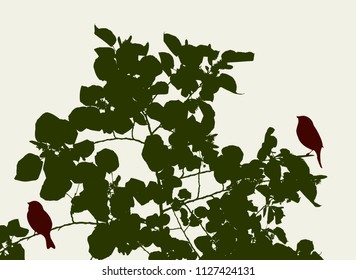 The birds on the tree branches in summer