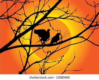 birds on a tree in sunset
