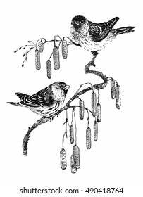 Birds on twig sketch vector illustration.