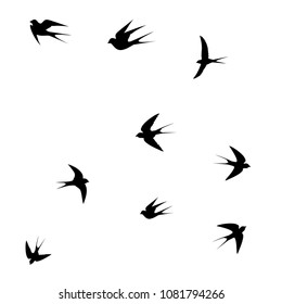 birds on white background, birds icon,vector illustration