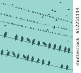 Birds on wire