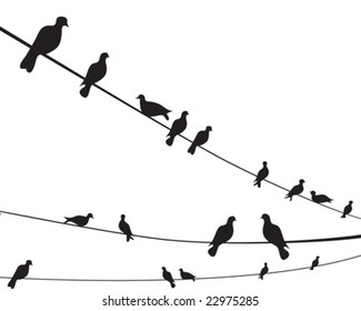 Birds on a wire