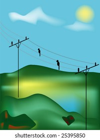 birds on wire