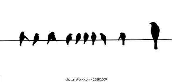 pájaros en alambre