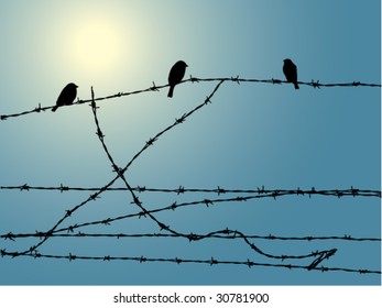 birds on wire