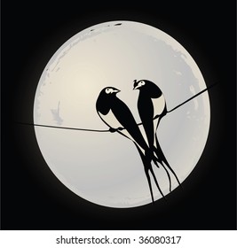 Birds on a wire