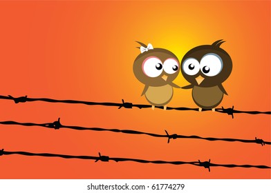 birds on a wire